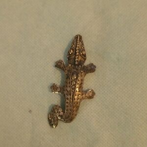Native American Sterling silver lizard brooch